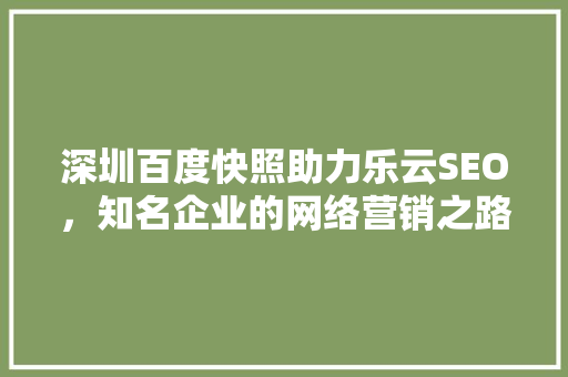 深圳百度快照助力乐云SEO，知名企业的网络营销之路