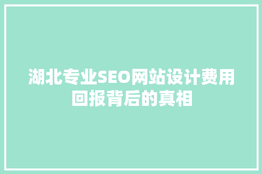 湖北专业SEO网站设计费用回报背后的真相