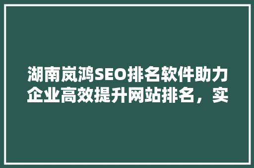 湖南岚鸿SEO排名软件助力企业高效提升网站排名，实现网络营销新突破