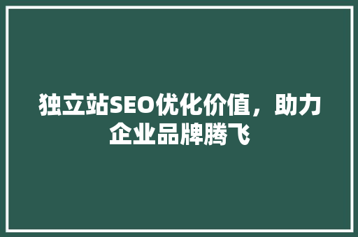 独立站SEO优化价值，助力企业品牌腾飞