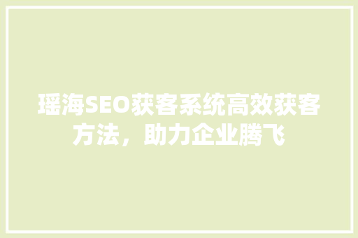 瑶海SEO获客系统高效获客方法，助力企业腾飞