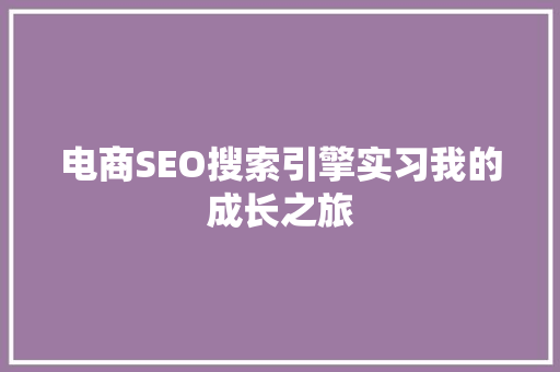 电商SEO搜索引擎实习我的成长之旅