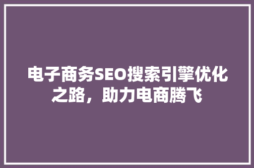 电子商务SEO搜索引擎优化之路，助力电商腾飞