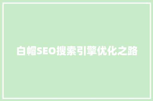 白帽SEO搜索引擎优化之路