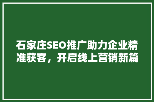 石家庄SEO推广助力企业精准获客，开启线上营销新篇章