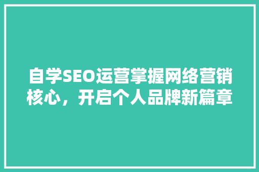 自学SEO运营掌握网络营销核心，开启个人品牌新篇章