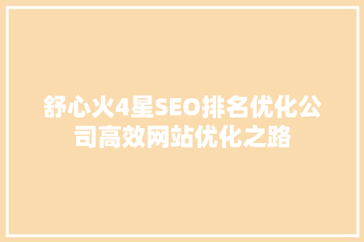 舒心火4星SEO排名优化公司高效网站优化之路