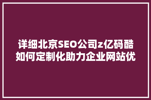 详细北京SEO公司z亿码酷如何定制化助力企业网站优化