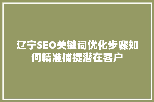 辽宁SEO关键词优化步骤如何精准捕捉潜在客户