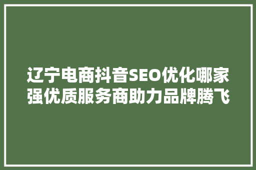 辽宁电商抖音SEO优化哪家强优质服务商助力品牌腾飞