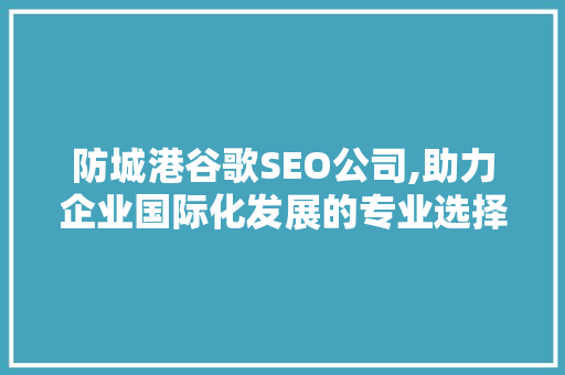 防城港谷歌SEO公司,助力企业国际化发展的专业选择