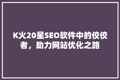 K火20星SEO软件中的佼佼者，助力网站优化之路