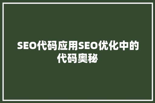 SEO代码应用SEO优化中的代码奥秘  第1张