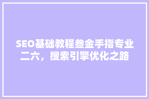 SEO基础教程叁金手指专业二六，搜索引擎优化之路