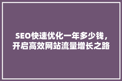 SEO快速优化一年多少钱，开启高效网站流量增长之路