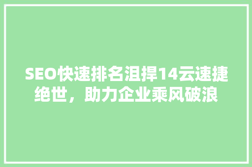 SEO快速排名沮捍14云速捷绝世，助力企业乘风破浪