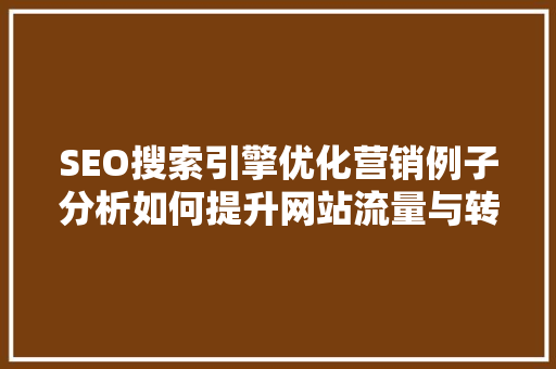 SEO搜索引擎优化营销例子分析如何提升网站流量与转化率