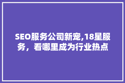 SEO服务公司新宠,18星服务，看哪里成为行业热点