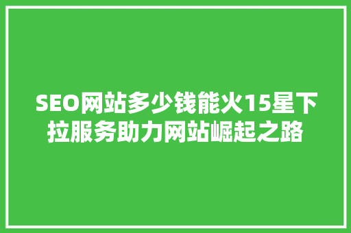 SEO网站多少钱能火15星下拉服务助力网站崛起之路