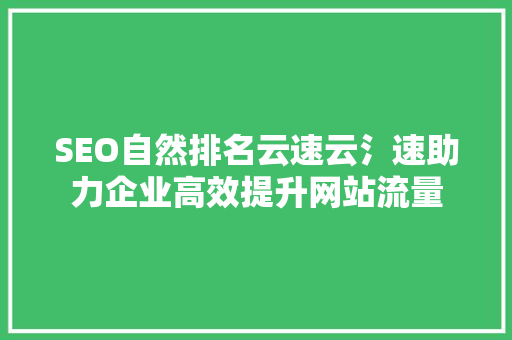 SEO自然排名云速云氵速助力企业高效提升网站流量