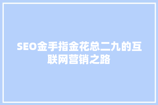 SEO金手指金花总二九的互联网营销之路  第1张