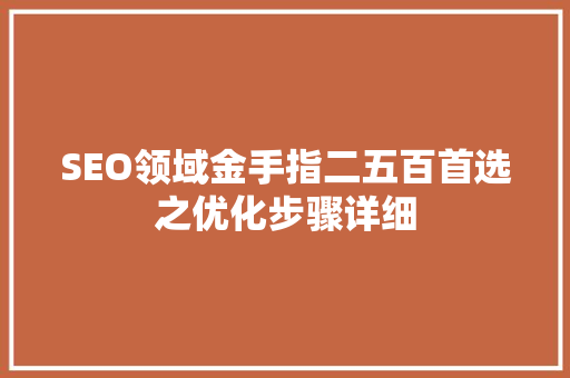 SEO领域金手指二五百首选之优化步骤详细