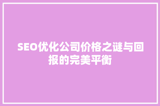 SEO优化公司价格之谜与回报的完美平衡