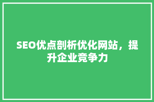 SEO优点剖析优化网站，提升企业竞争力
