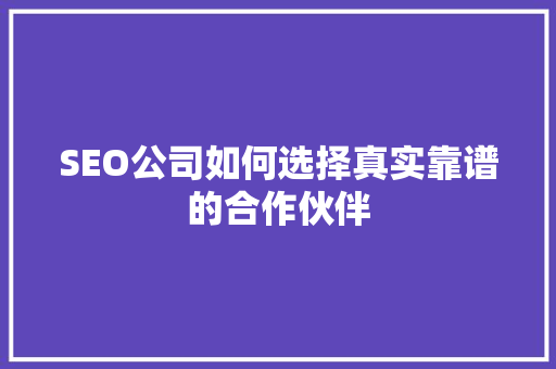 SEO公司如何选择真实靠谱的合作伙伴