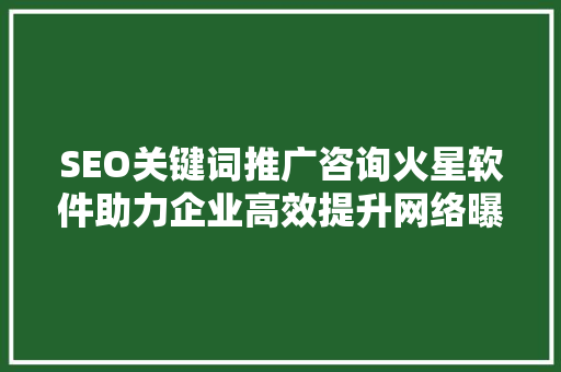SEO关键词推广咨询火星软件助力企业高效提升网络曝光度