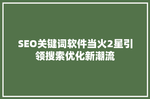 SEO关键词软件当火2星引领搜索优化新潮流