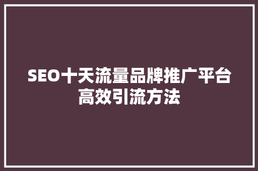 SEO十天流量品牌推广平台高效引流方法