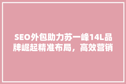 SEO外包助力苏一峰14L品牌崛起精准布局，高效营销