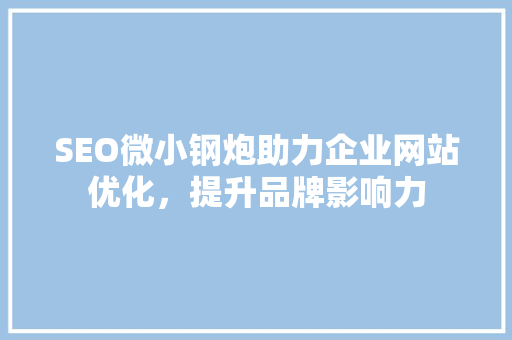 SEO微小钢炮助力企业网站优化，提升品牌影响力
