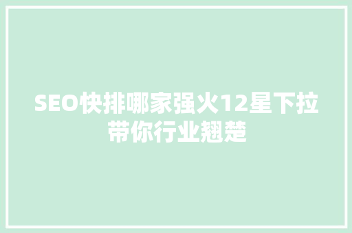 SEO快排哪家强火12星下拉带你行业翘楚