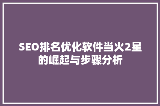 SEO排名优化软件当火2星的崛起与步骤分析