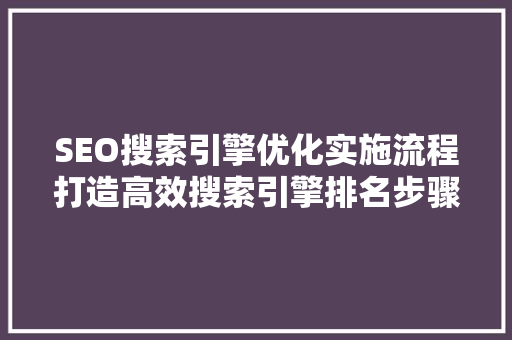 SEO搜索引擎优化实施流程打造高效搜索引擎排名步骤