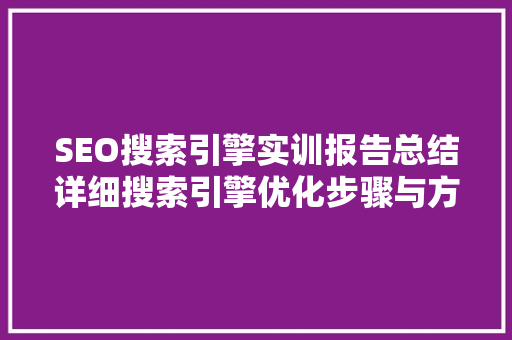 SEO搜索引擎实训报告总结详细搜索引擎优化步骤与方法