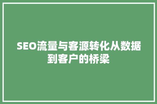 SEO流量与客源转化从数据到客户的桥梁
