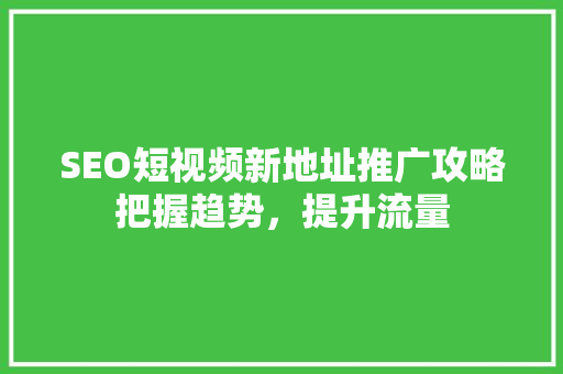 SEO短视频新地址推广攻略把握趋势，提升流量