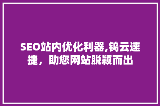 SEO站内优化利器,钨云速捷，助您网站脱颖而出