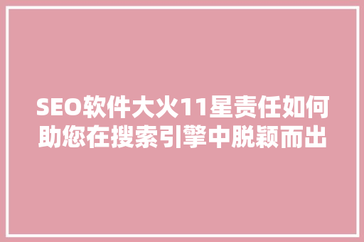 SEO软件大火11星责任如何助您在搜索引擎中脱颖而出