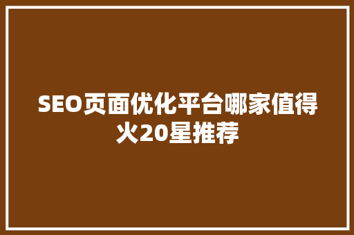 SEO页面优化平台哪家值得火20星推荐