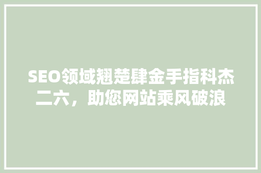 SEO领域翘楚肆金手指科杰二六，助您网站乘风破浪