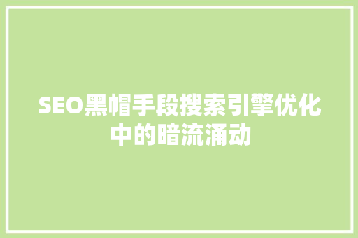 SEO黑帽手段搜索引擎优化中的暗流涌动