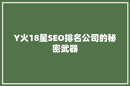 Y火18星SEO排名公司的秘密武器