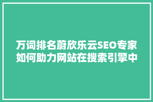 万词排名蔚欣乐云SEO专家如何助力网站在搜索引擎中脱颖而出