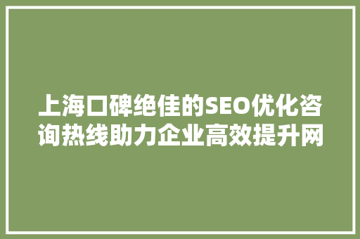上海口碑绝佳的SEO优化咨询热线助力企业高效提升网站排名