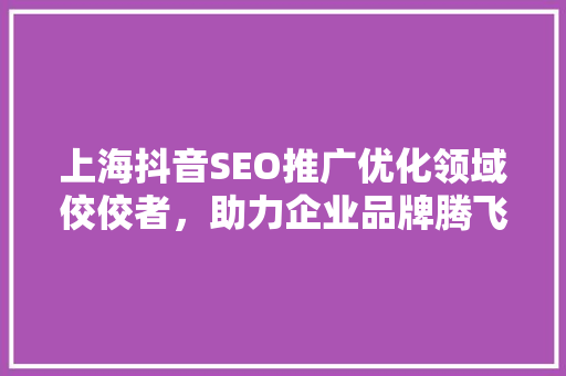 上海抖音SEO推广优化领域佼佼者，助力企业品牌腾飞