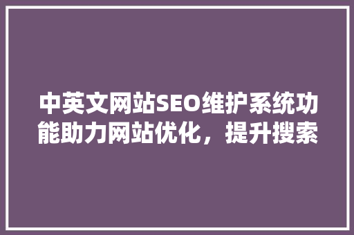 中英文网站SEO维护系统功能助力网站优化，提升搜索排名
